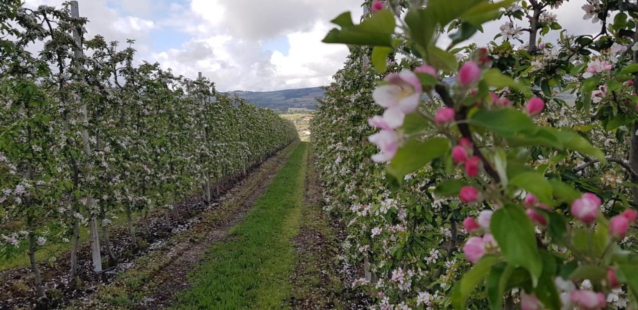 Quinta Bemboa Turismo Espaco Rural Aricera Zewnętrze zdjęcie
