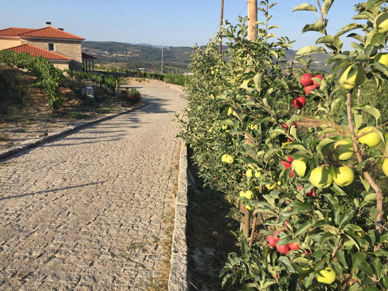 Quinta Bemboa Turismo Espaco Rural Aricera Zewnętrze zdjęcie