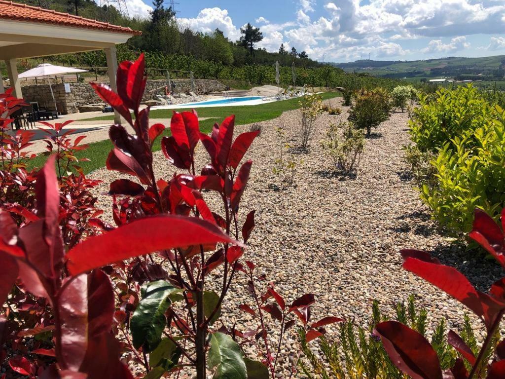 Quinta Bemboa Turismo Espaco Rural Aricera Zewnętrze zdjęcie